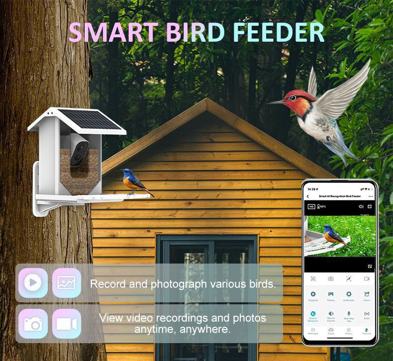 Smart AI Identify Battery Bird Nest House Feeder
